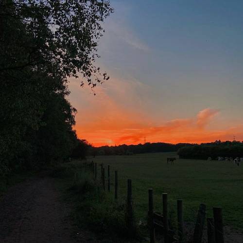 حسین حسنی دریا دریا گریه پرسیدی زحالم هر لحظه مینالم 